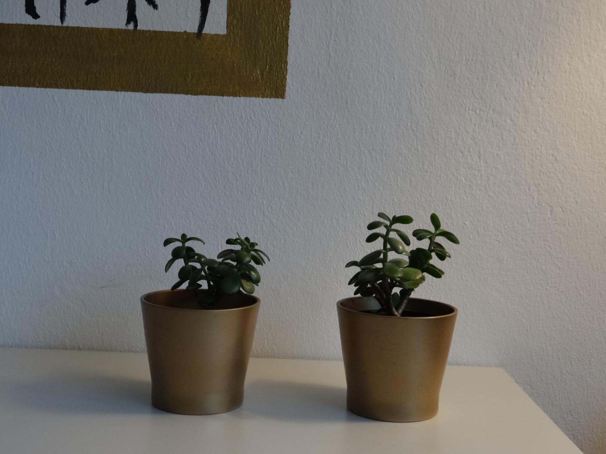 Hostel Stralsund Room photo